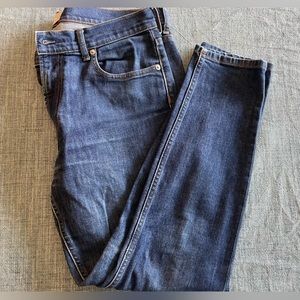 Everlane Mid-Rise Skinny Jean 31 Regular Dark Indigo